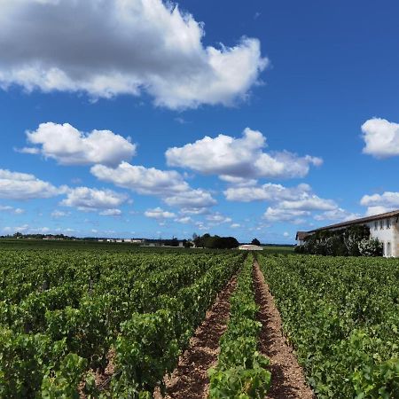 Bed and Breakfast Au Coeur Des Vignobles Сент-Естеф Екстер'єр фото